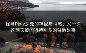 探寻Pixiv深处的神秘与诱惑：又一次这两天被问得特别多的背后故事